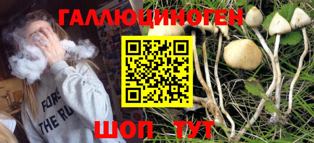 Галлюциногенные грибы MAGIC MUSHROOMS Раменское